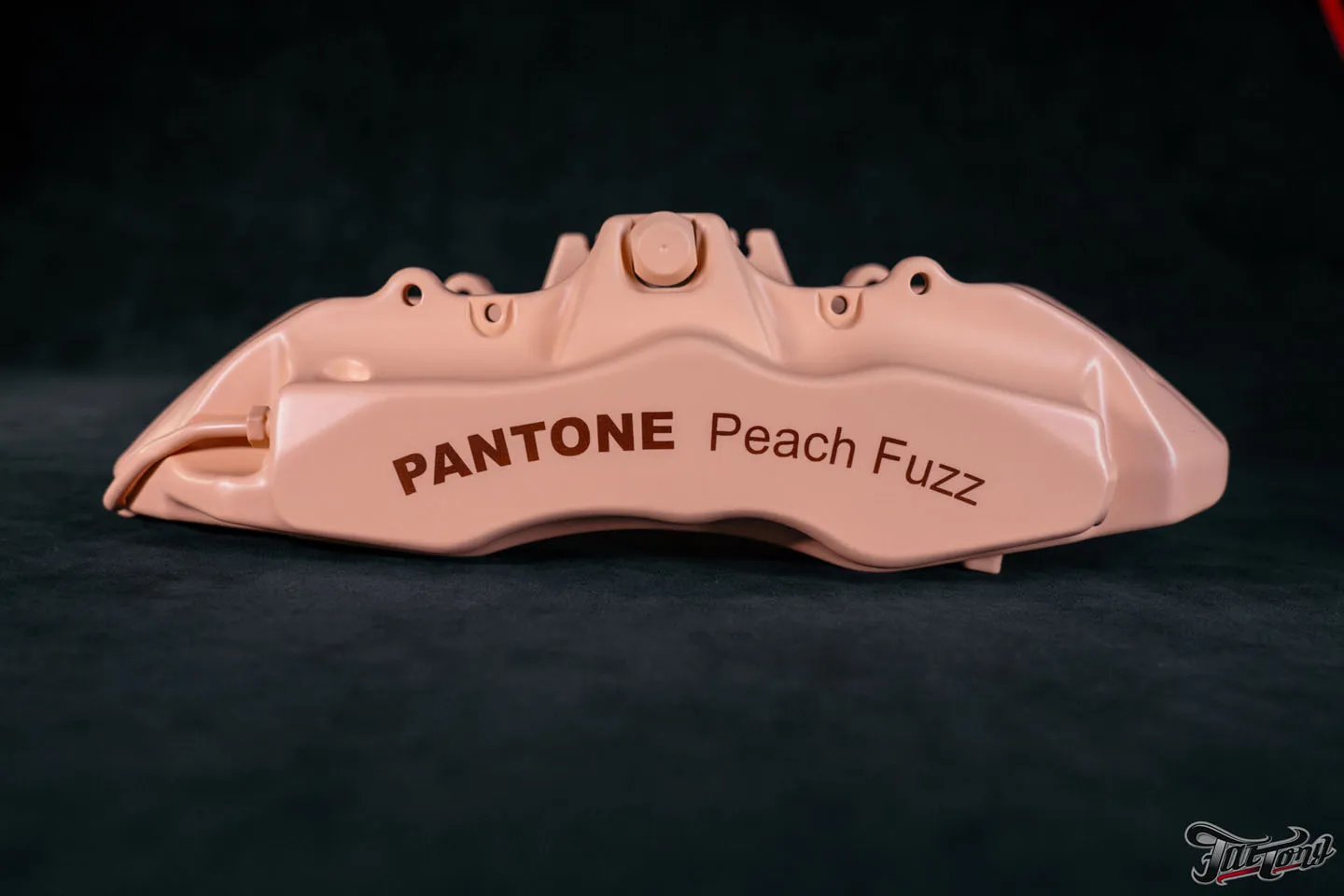 Суппорта в цвете 2024 года от Pantone Peach Fuzz